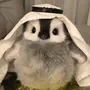 重生之我要写框架