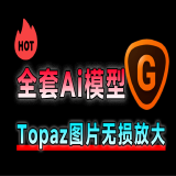 Topaz Gigapixel AI7.1.0一键无损放大降噪模糊变高清中文版Topaz Ai模型